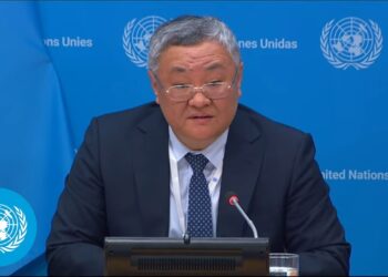 UN Security Council’s actions must not grant license to use of force: Chinese envoy