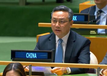 Chinese envoy firmly rejects US allegations at UN Security Council, calls for  ceasefire in Ukraine