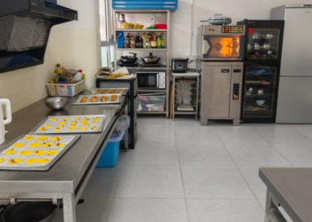 From learning to earning, China explores new support for autistic adults