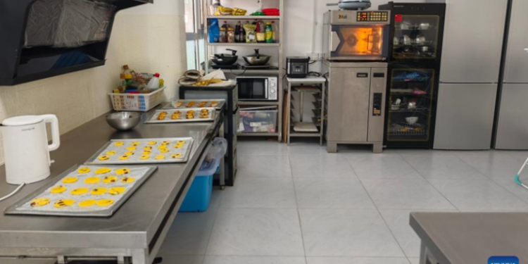 From learning to earning, China explores new support for autistic adults