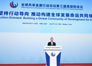 China remains promoter, contributor to global development: top diplomat