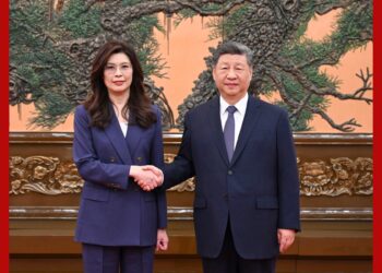Xi meets KMT leader, urges joint efforts to promote cross-Strait peace, oppose “Taiwan independence” secession