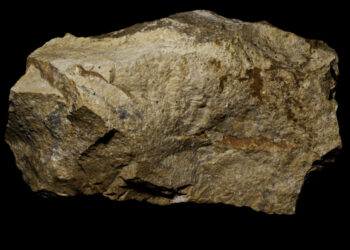 China Leads Global Mineral Reserves and Production in 2025, Ministry Reports