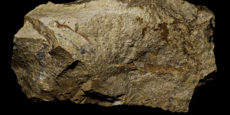 China Leads Global Mineral Reserves and Production in 2025, Ministry Reports