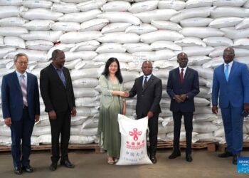China-aided emergency food assistance project delivered to Togo