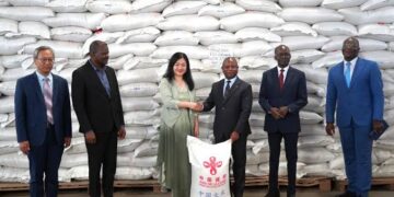 China-aided emergency food assistance project delivered to Togo