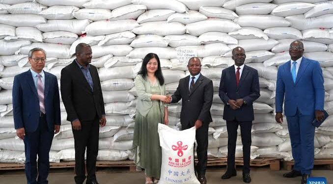 China-aided emergency food assistance project delivered to Togo