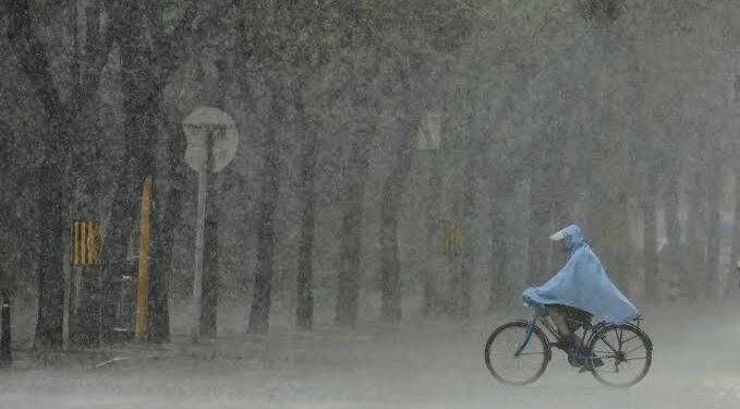 China renews blue alerts for sandstorms, strong winds