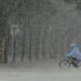 China renews blue alerts for sandstorms, strong winds