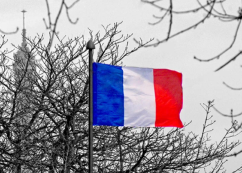 China appreciates France’s sense of responsibility in promoting return of lost cultural artifacts, looks forward to early completion of bill’s legislative process: FM