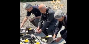 Japanese scholars pay tribute to Nanjing Massacre victims, call to ‘deeply reflect, apologize’ for wartime atrocities