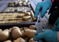 China, US team up to bust drug smuggling operation