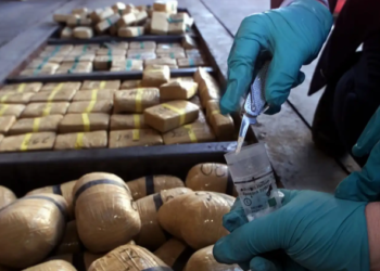 China, US team up to bust drug smuggling operation