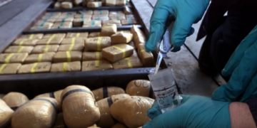 China, US team up to bust drug smuggling operation