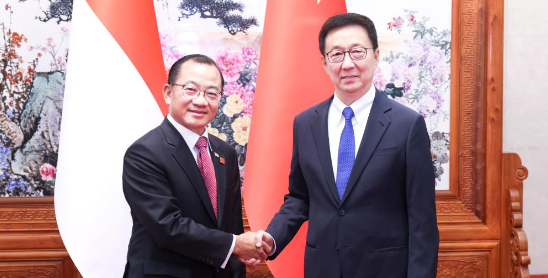 Chinese vice president meets with Singapore’s parliament speaker