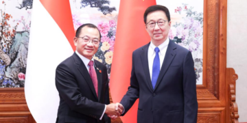 Chinese vice president meets with Singapore’s parliament speaker