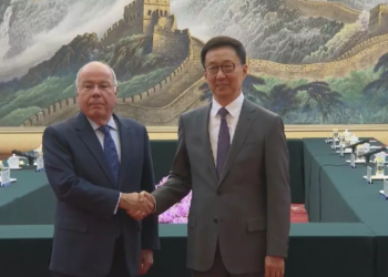 Chinese vice president meets Brazilian FM