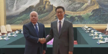 Chinese vice president meets Brazilian FM