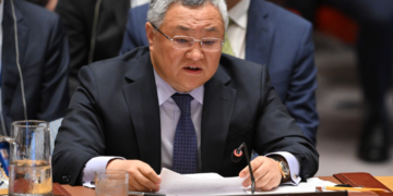 China calls for truly lasting ceasefire in Gaza at UN Security Council open debate