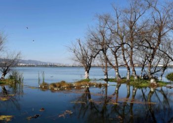 China Hosts Global Eco-Civilization Forum to Advance Environmental Cooperation