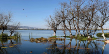 China Hosts Global Eco-Civilization Forum to Advance Environmental Cooperation