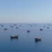 China Calls for Swift Restoration of Safe Navigation Through Strait of Hormuz
