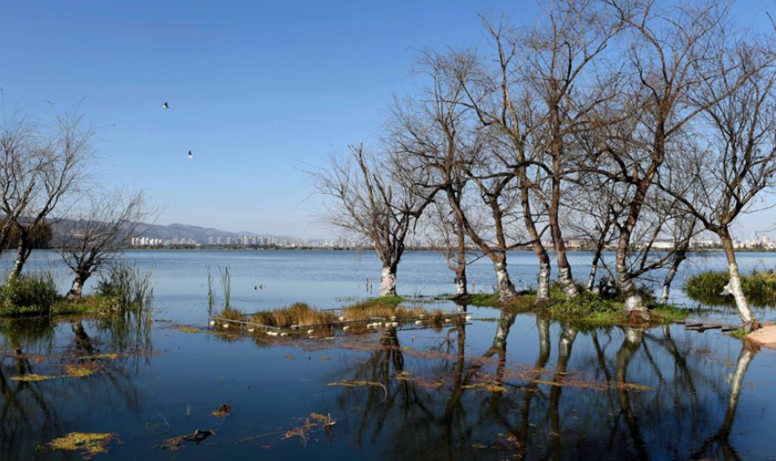 China Hosts Global Eco-Civilization Forum to Advance Environmental Cooperation
