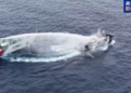 CCG takes law enforcement measures against illegal Philippine vessels after two days of provocations off Huangyan Dao