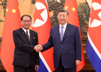 Xi meets premier of DPRK cabinet