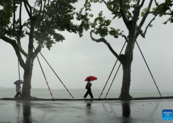 China issues red alert as Typhoon Dolphin approaches