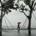 China issues red alert as Typhoon Dolphin approaches