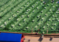 China vows to share innovation gains to bolster Asia-Pacific food security