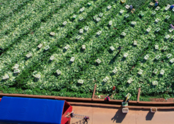 China vows to share innovation gains to bolster Asia-Pacific food security