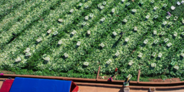 China vows to share innovation gains to bolster Asia-Pacific food security
